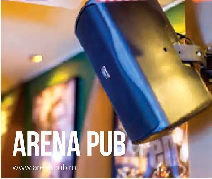 Arena Pub - portfolio image