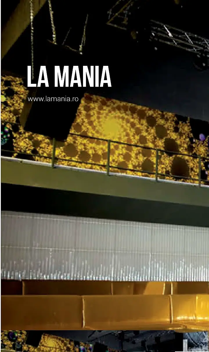 La Mania - portfolio image